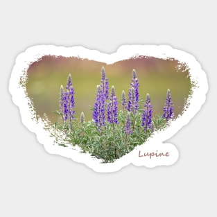 Lupine Heart Sticker